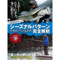 並木敏成 The Ultimate 11 シーズナルパターン完全解析・冬編