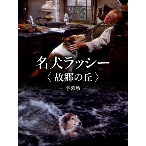 ☆中古ビデオ　名犬ラッシー/ラッシー危機一髪 　【日本語吹替】　希少です ☆中古ビデオ 名犬ラッシー/ラッシー危機一髪 【日本語吹替