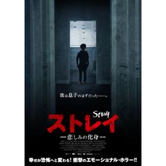 ストレイ 悲しみの化身 19年 の動画 最新の動画配信 レンタルならmusic Jp ストレイ 悲しみの化身 19年 の動画 最新の動画配信 レンタルならmusic Jp