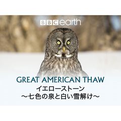 イエローストーン~七色の泉と白い雪解け~