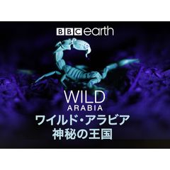 ワイルド・アラビア~神秘の王国