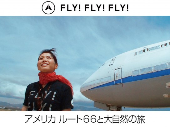 FLY!FLY!FLY!空の指揮官 航空管制｜最新の映画・ドラマ・アニメを見る 