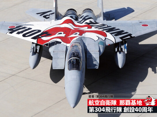 密着!第304飛行隊 航空自衛隊 那覇基地 第304飛行隊 創設40周年｜最新