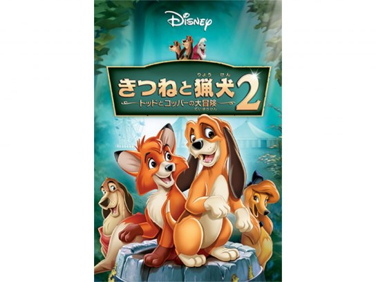 m047204.jpg?sr.dw=400