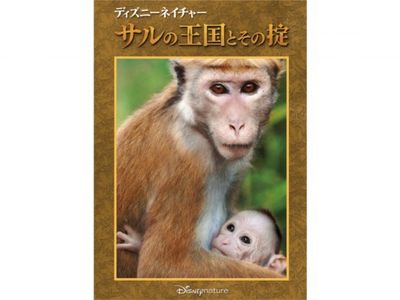 ディズニーネイチャー サルの王国とその掟 最新の映画 ドラマ アニメを見るならmusic Jp