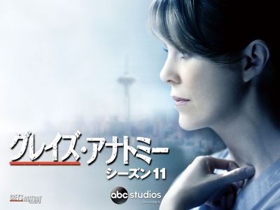 グレイズ アナトミー シーズン11 最新の映画 ドラマ アニメを見るならmusic Jp グレイズ アナトミー シーズン11 最新の映画 ドラマ アニメを見るならmusic Jp