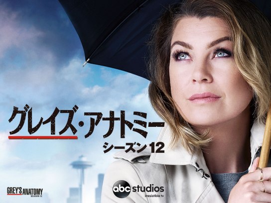 グレイズ・アナトミー シーズン12｜最新の映画・ドラマ・アニメを見る