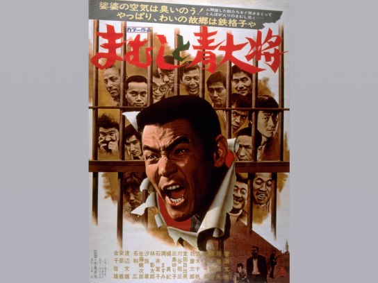 まむしと青大将 菅原文太 まむしと青大将 [DVD] : 菅原文太, 川地民夫