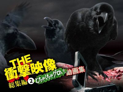 The 衝撃映像 総集編 2 むちゃくちゃグロい 動画集 最新の映画 ドラマ アニメを見るならmusic Jp The 衝撃映像 総集編 2 むちゃくちゃグロい 動画集 最新の映画 ドラマ アニメを見るならmusic Jp