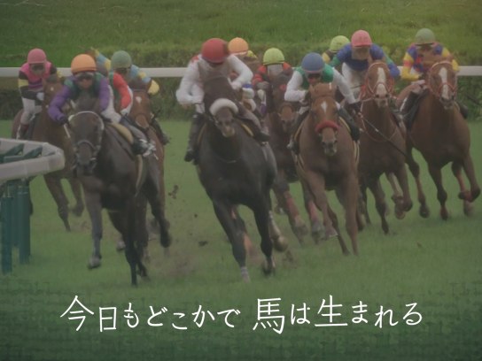 今日もどこかで馬は生まれる｜最新の映画・ドラマ・アニメを見る