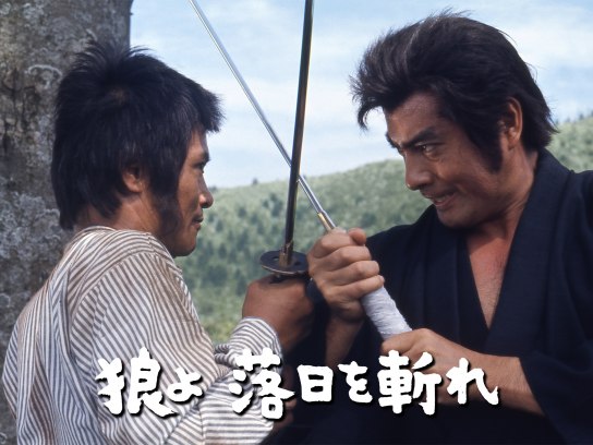 狼よ落日を斬れ [DVD] 狼よ落日を斬れ – 映画コレクション・しねとろ倶楽部