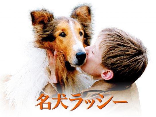 名犬ラッシー｜最新の映画・ドラマ・アニメを見るならmusic.jp