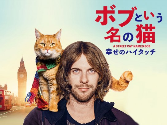 ボブという名の猫 幸せのハイタッチ｜最新の映画・ドラマ・アニメを