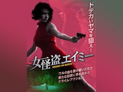 女怪盗 
