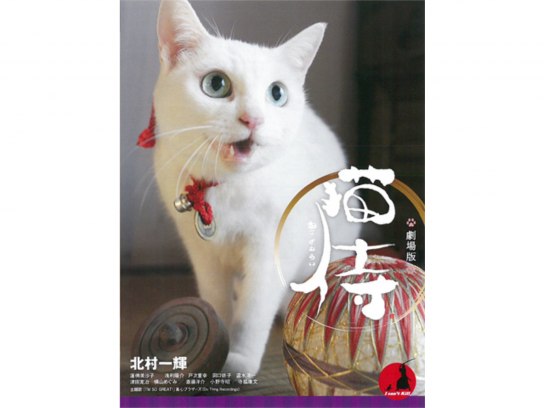 ZOOプロ 限定 あなごちゃん お別れ会 手形カード 猫侍 玉之丞 非売品 猫 81y9clqQ4dL._AC_UF350,