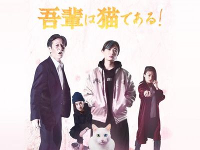 吾輩は猫である 最新の映画 ドラマ アニメを見るならmusic Jp