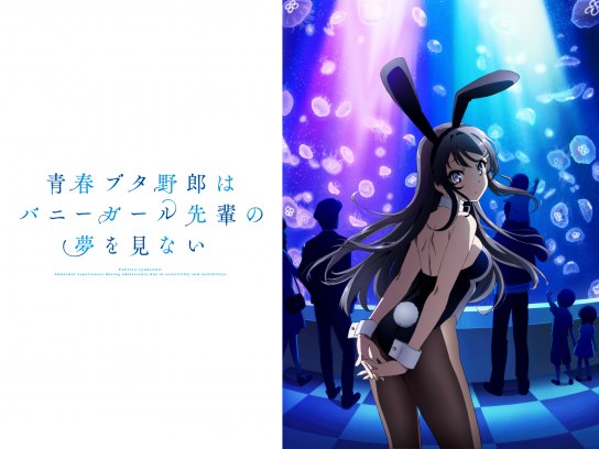 ヴァイス　青春ブタ野郎はバニーガール先輩の夢を見ない ブースターパック 青春ブタ野郎はバニーガール先輩の夢を見ない