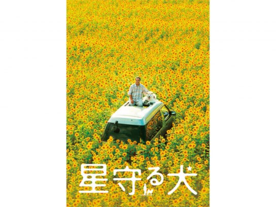 星守る犬|最新の映画・ドラマ・アニメを見るならmusic.jp 星守る犬|最新の映画・ドラマ・アニメを見るならmusic.jp