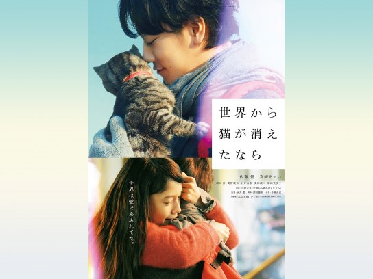 世界から猫が消えたなら パンフレット（世界から猫が消えたなら