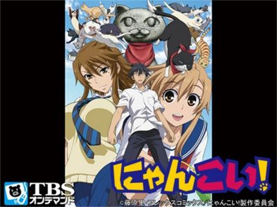 にゃんこい 最新の映画 ドラマ アニメを見るならmusic Jp
