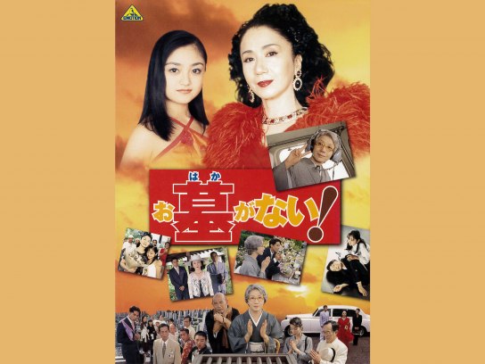 お墓がない! [DVD]（: お墓がない! [DVD] : 岩下志麻: DVD）