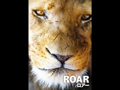 ROAR/ロアー｜最新の映画・ドラマ・アニメを見るならmusic.jp