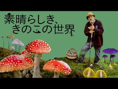 素晴らしき きのこの世界 最新の映画 ドラマ アニメを見るならmusic Jp 素晴らしき きのこの世界 最新の映画 ドラマ アニメを見るならmusic Jp
