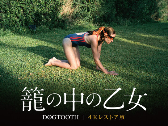 籠の中の乙女 4Kレストア版｜最新の映画・ドラマ・アニメを見るなら