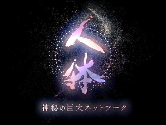 NHKスペシャル シリーズ 人体 神秘の巨大ネットワーク｜最新の