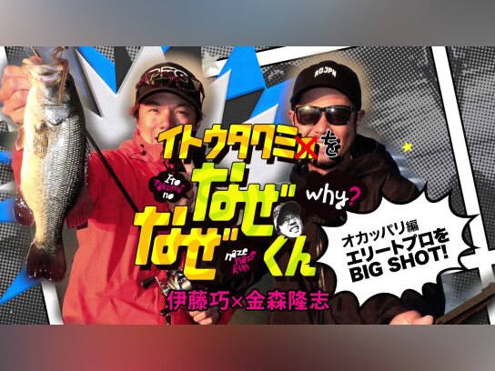 イトウタクミをなぜなぜくん 金森隆志編 冬｜最新の映画・ドラマ