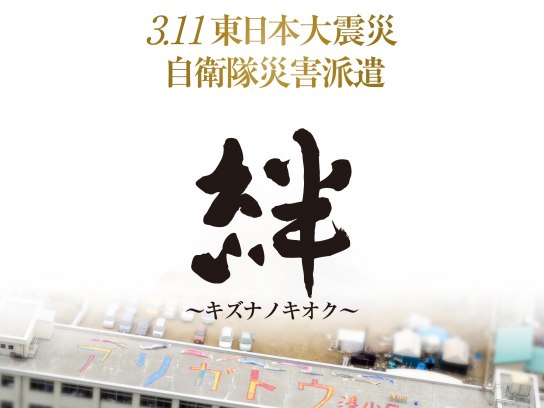 自衛隊 災害派遣 東日本大震災の勲章