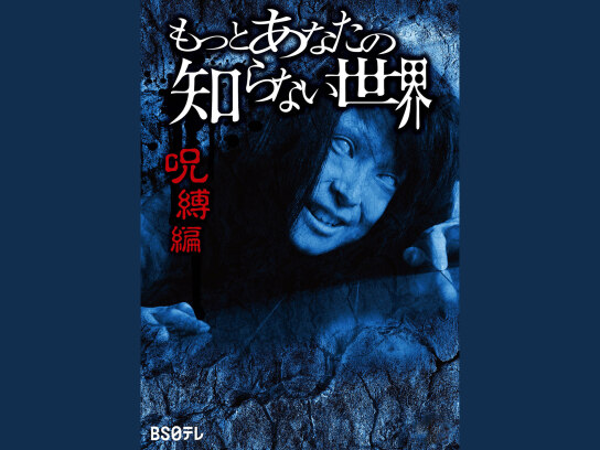 恐怖!!あなたの知らない世界 （初版レア‼️） 心霊怪奇あなたの知らない世界: 恐怖体験への招待状 (KAWADE夢
