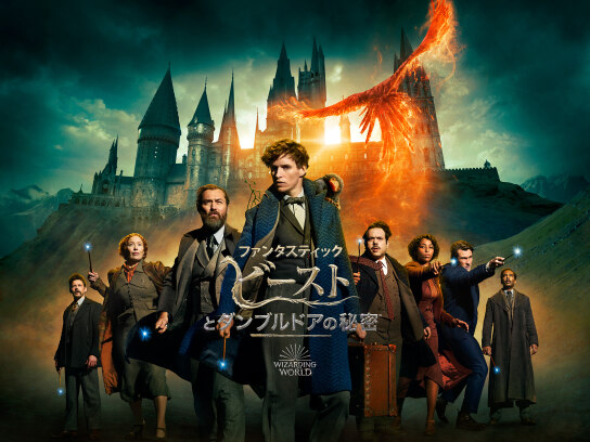 ファンタスティックビーストとダンブルドアの秘密 ファンタスティック・ビーストとダンブルドアの秘密 【DVD】 NBC