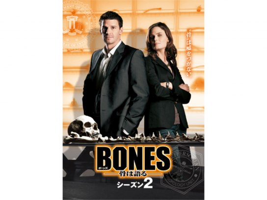 DVD BONES ボーンズ 骨は語る シーズン2〜ファイナルシーズン　非全巻 Amazon.co.jp: BONES －骨は語る－ シーズン2 (SEASONS