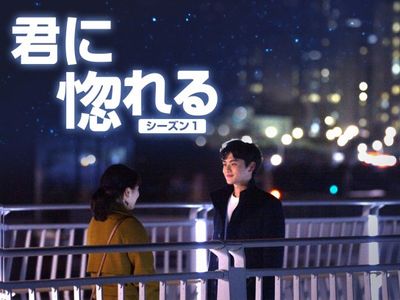 キミに惚れる シーズン1