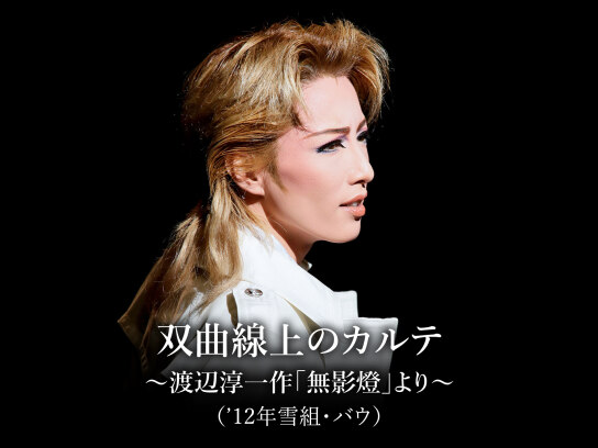 双曲線上のカルテ~渡辺淳一作「無影燈」より~('12年雪組・バウ