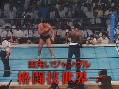 四角いジャングル 格闘技世界一 最新の映画 ドラマ アニメを見るならmusic Jp