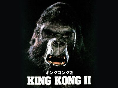 キングコング2 最新の映画 ドラマ アニメを見るならmusic Jp